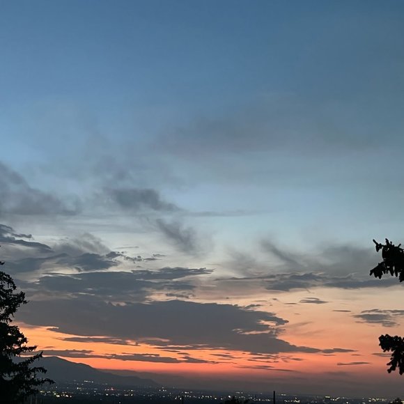 Meet your Posher, Ashley - Picture 1 of 1